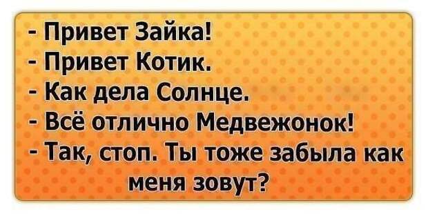 Блестящие цитаты
