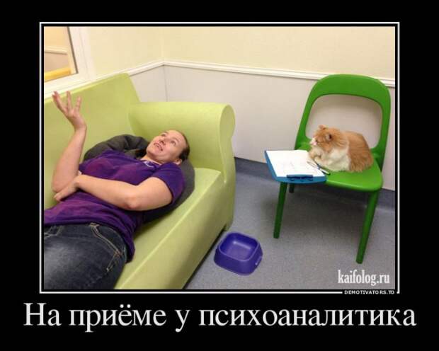 Демотиваторы - 260 (45 демок)