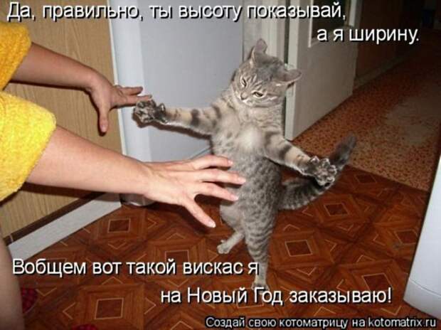 Мысли вслух - Ожидание Нового года