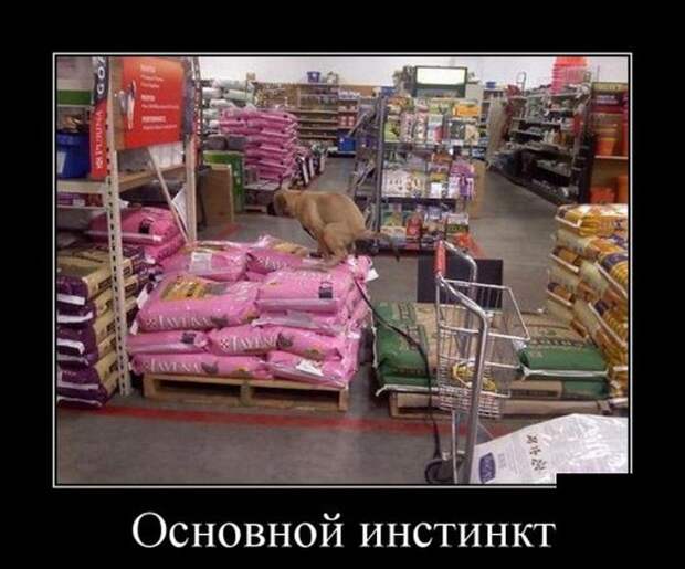 Демотиваторы (30 фото)
