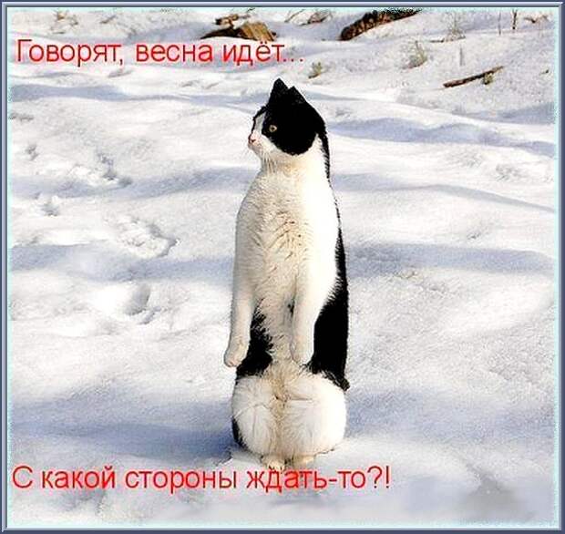 ГОВОРЯТ,  ВЕСНА  ИДЕТ...