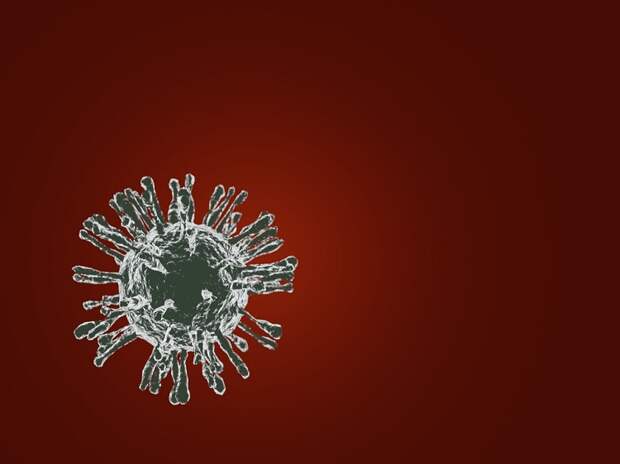 Количество выявленных новых коронавирусных больных резко уменьшилось в Крыму