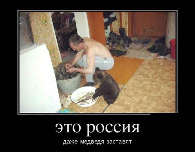 Демотиваторы