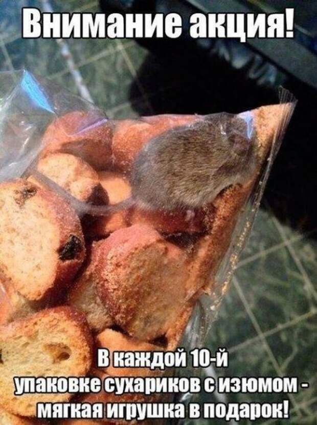 Пятничные фото-приколы - смешные картинки Пятничные фото-приколы - смешные картинки