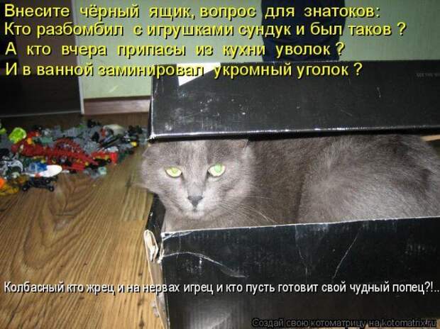 Мысли вслух :)