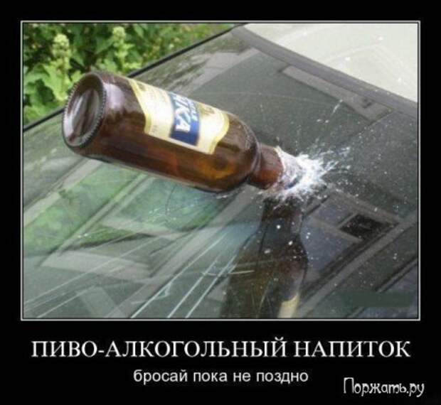 Димативаторы (21 фото)