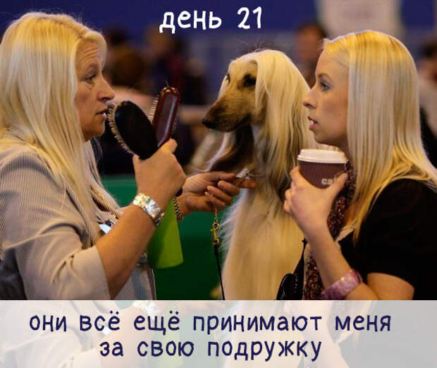 Юмор и прикольные картинки Юмор и прикольные картинки