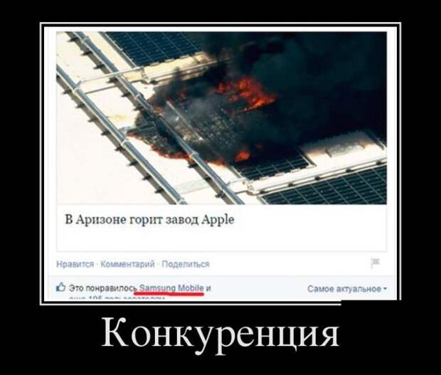 Подборка демотиваторов  демотиватор, юмор