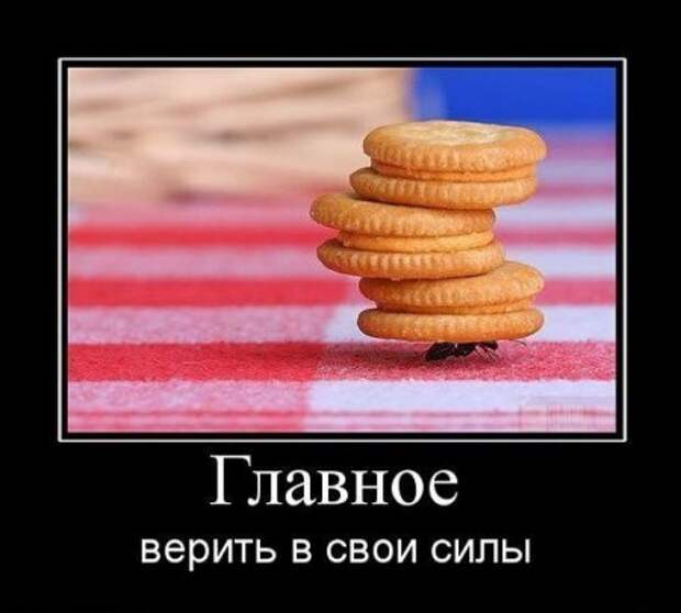Демотиватоы любой день прикольным сделают.
