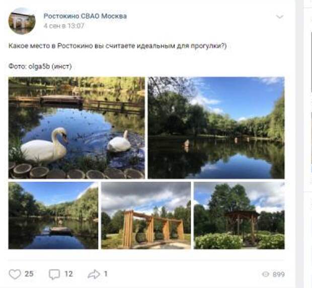 Фото дня: пара лебедей в осеннем парке