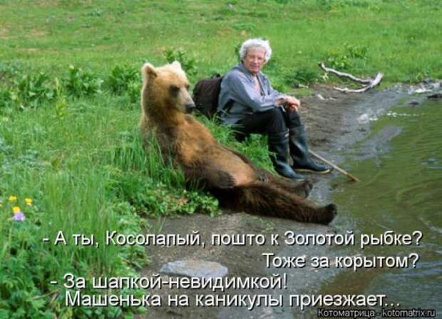 Котоматрицы(картинки с надписями)