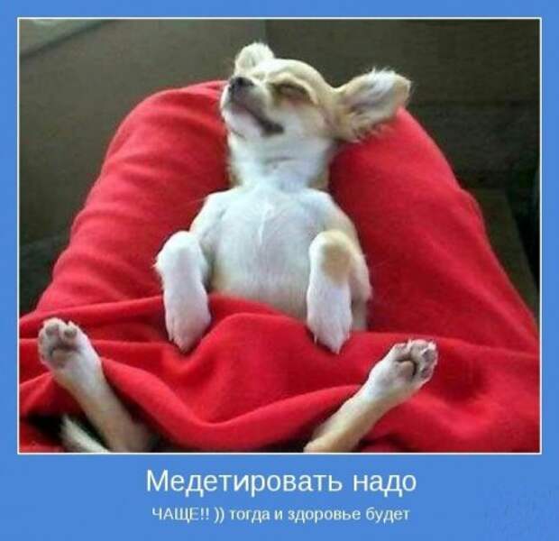 мотиваторы