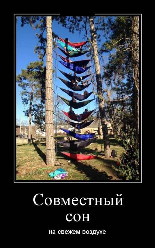 Демотиваторы (30 фото) Демотиваторы (30 фото)