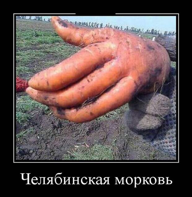 Демотиваторы (30 фото) Демотиваторы (30 фото)