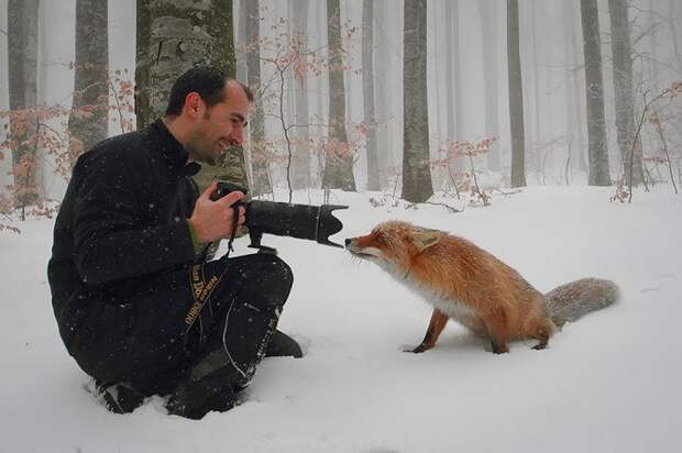 Почему фотоохота — самое лучшее занятие в мире?