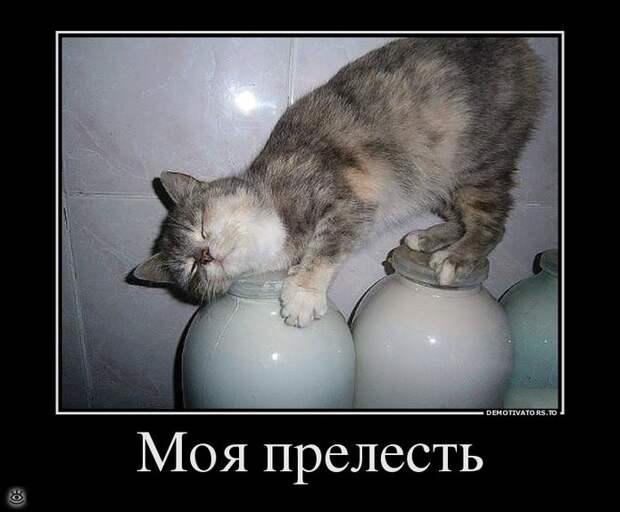 Ура, воскресенье! 7
