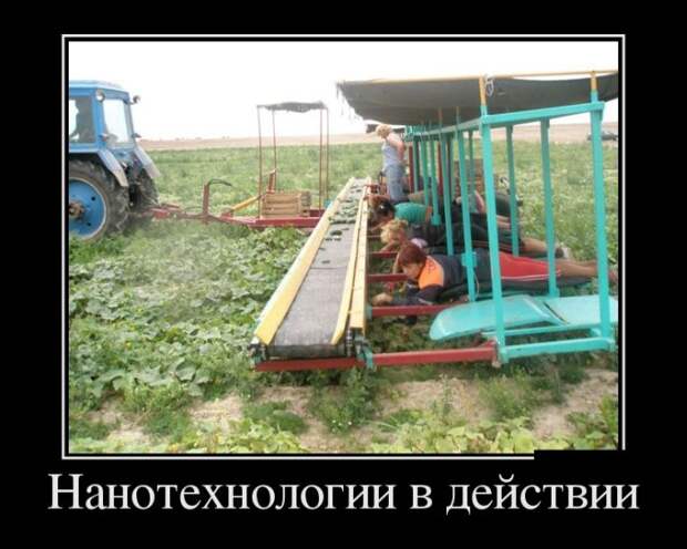 Демотиваторы демотиваторы, прикол, смех, юмор