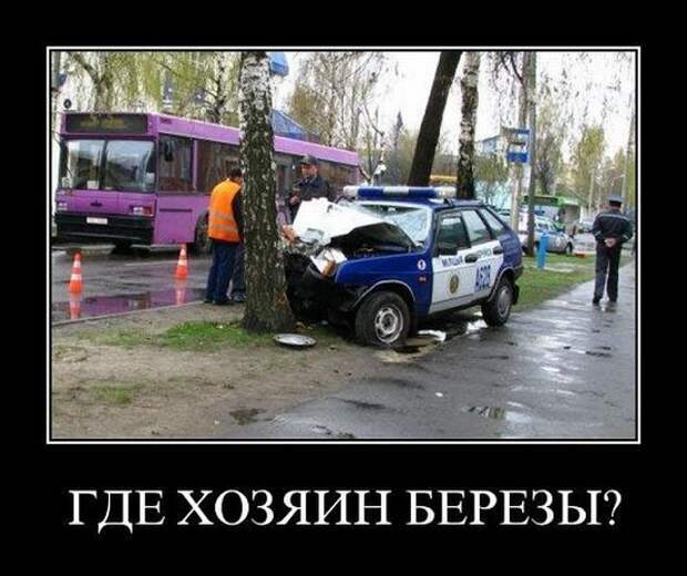 Подборка новых демотиваторов)