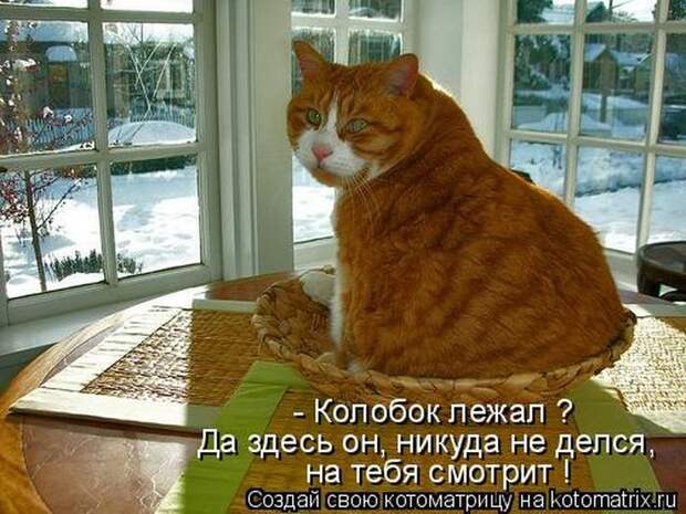 Мысли вслух :)