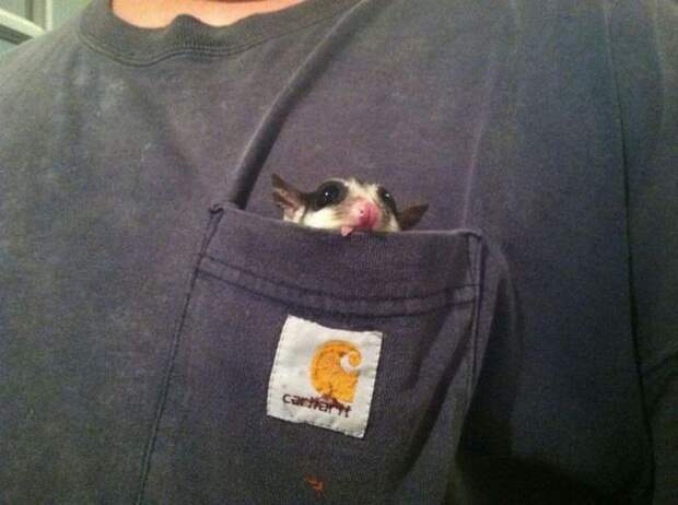 Фотоподборка за 09.12.2013 кадр, прикол, фото, фотоподборка