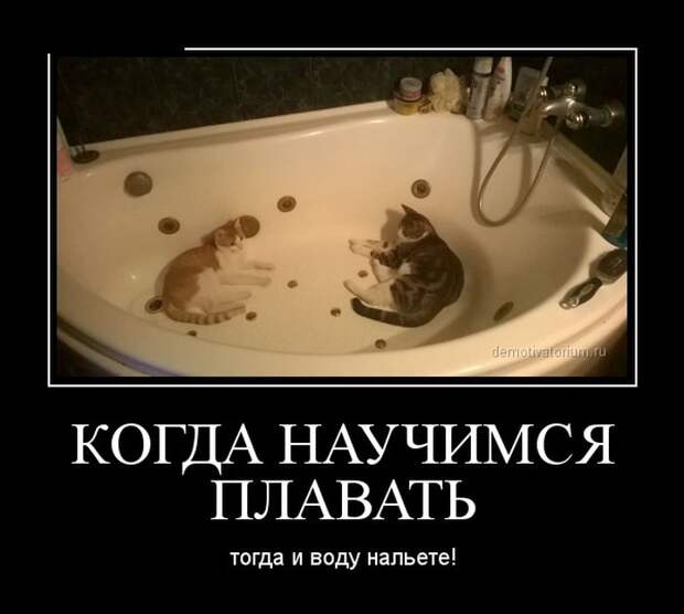 Демотиваторы (30 фото) Демотиваторы (30 фото)