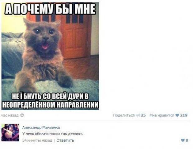 Прикольные комментарии и переписки Прикольные комментарии и переписки