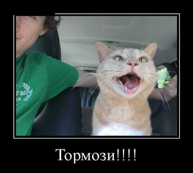 Демотиваторы №1202 (30 фото) Демотиваторы №1202 (30 фото)