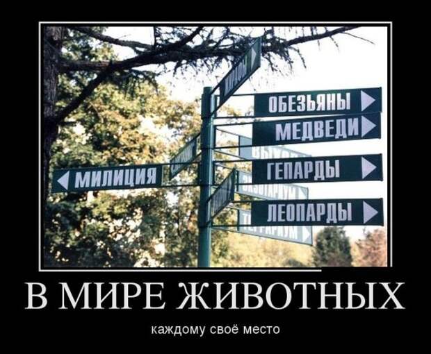 Демотиваторы демотиваторы, юмор