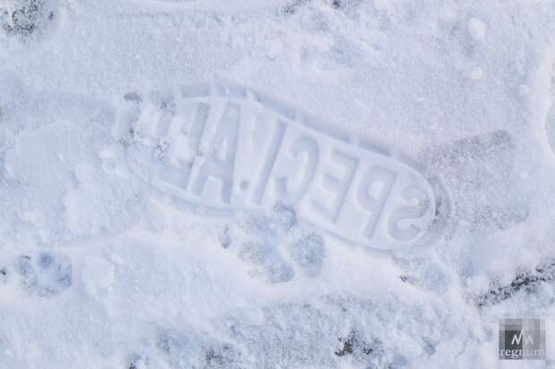 Трамп: США готовы к историческому зимнему шторму