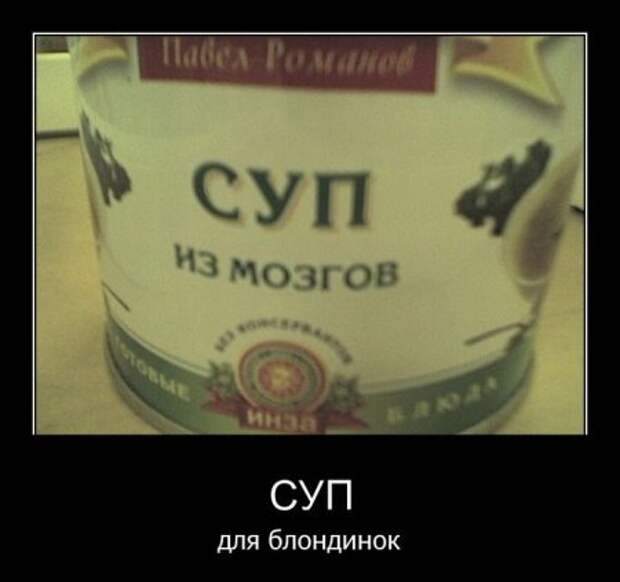 Смешные фразы в демотиваторах высший класс.