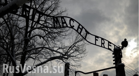 Немке предъявили обвинения в пособничестве убийствам в Освенциме | Русская весна