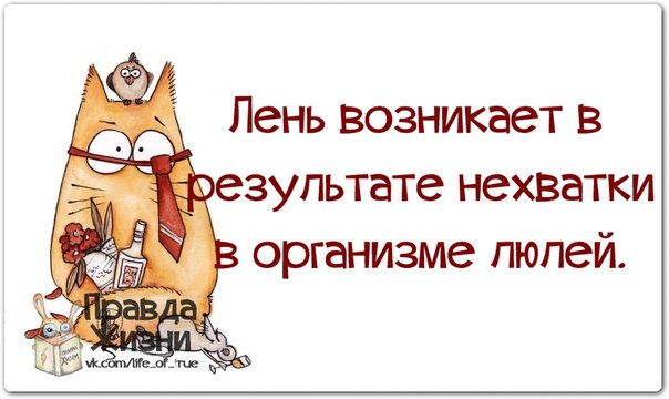 У меня сейчас постоянная подруга, у нас серьезные отношения. Так что, девушки, извините… Встречаться получится только на вашей территории...