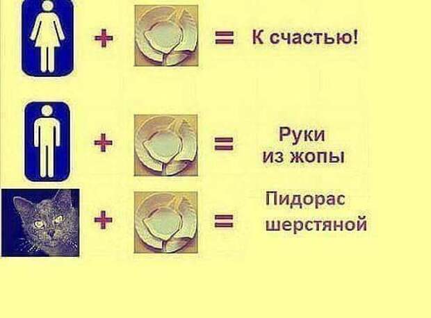 Пост юмора без политики прикол, юмор