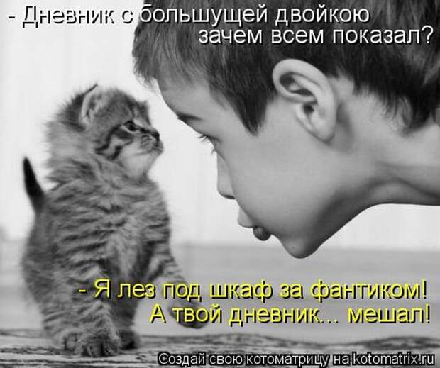 Лучшие котоматрицы недели Лучшие котоматрицы недели