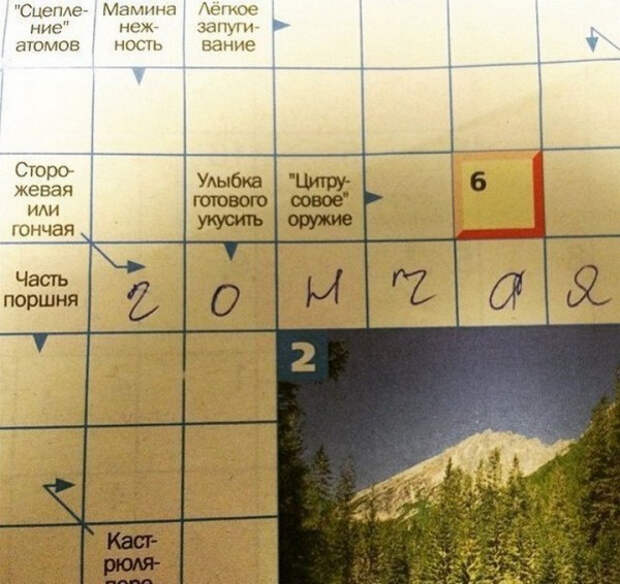 забавные фотографии про логику 