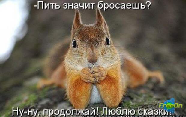 Фразы в картинках картинки, фразы