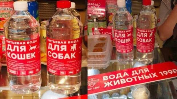 Приколы с родных просторов