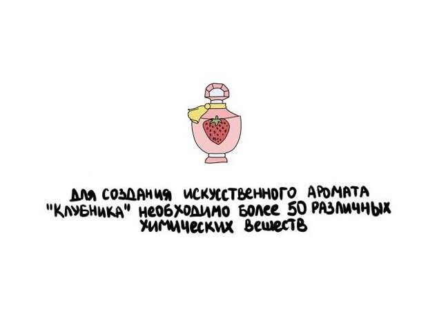 Разные интересные факты на все случаи жизни