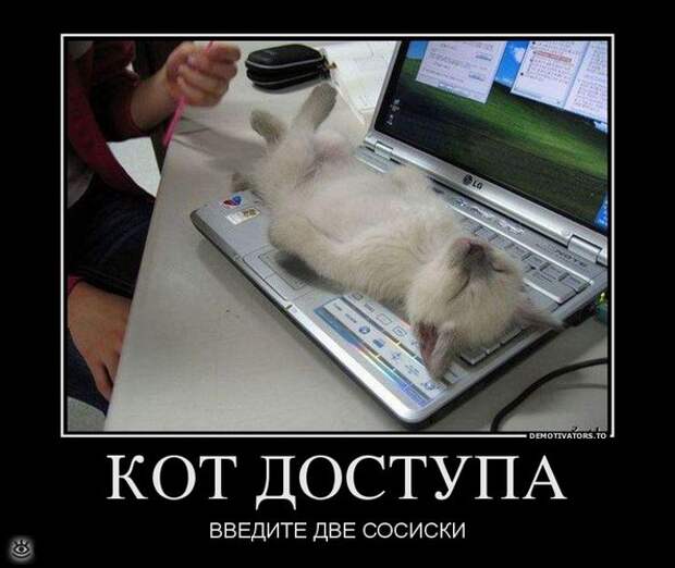 Удачные демотиваторы 16