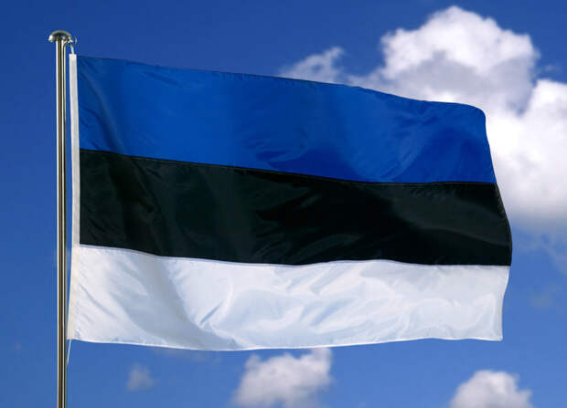 МИД Эстонии вручил ноту протеста российскому послу