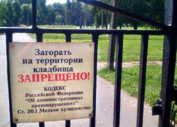 Прикольные картинки (73)