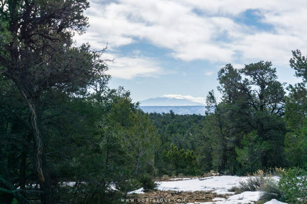The San Francisco Peaks