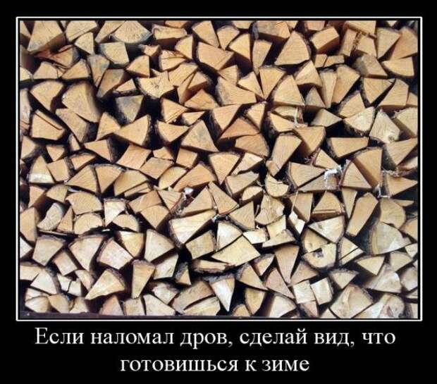 Демотиваторы (30 фото) Демотиваторы (30 фото)