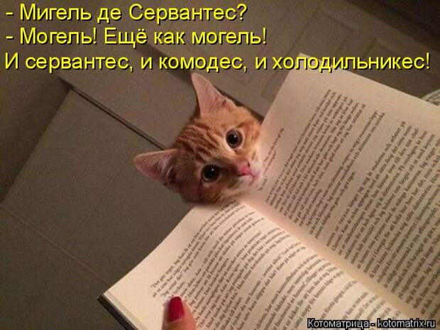 Котоматрица: - Могель! Ещё как могель! И сервантес, и комодес, и холодильникес! - Мигель де Сервантес?