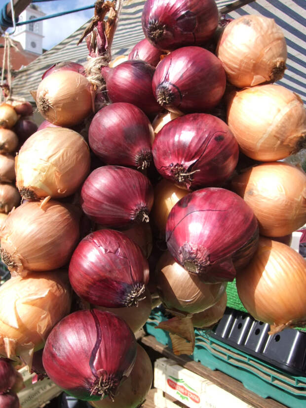 лук