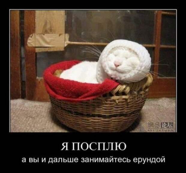 Демотиваторы, юмор дня, фотки с прикольными подписями.