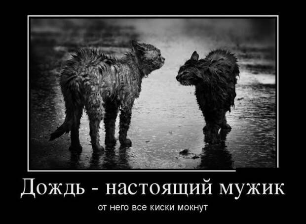 Подборка демотиваторов демотиваторы, юмор