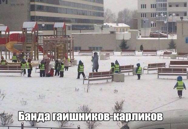 Свежий юмор Свежий юмор