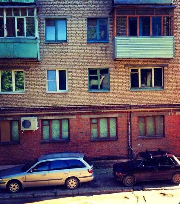 30 шедевров, которые сняты в нужный момент