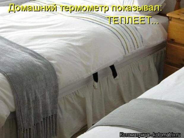 Свежая прикольная котоматрица (34 фото)